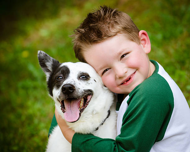 Zecken beim Hund vorbeugen und bekämpfen